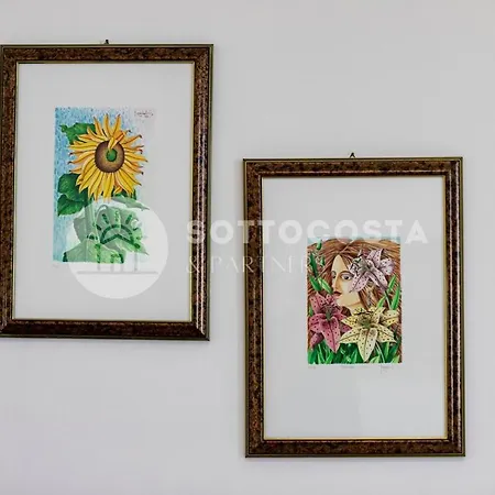 Il Bacio Del Sole - サン・フォカ